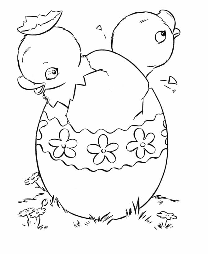 귀여운 병아리 무료 이미지 coloring page