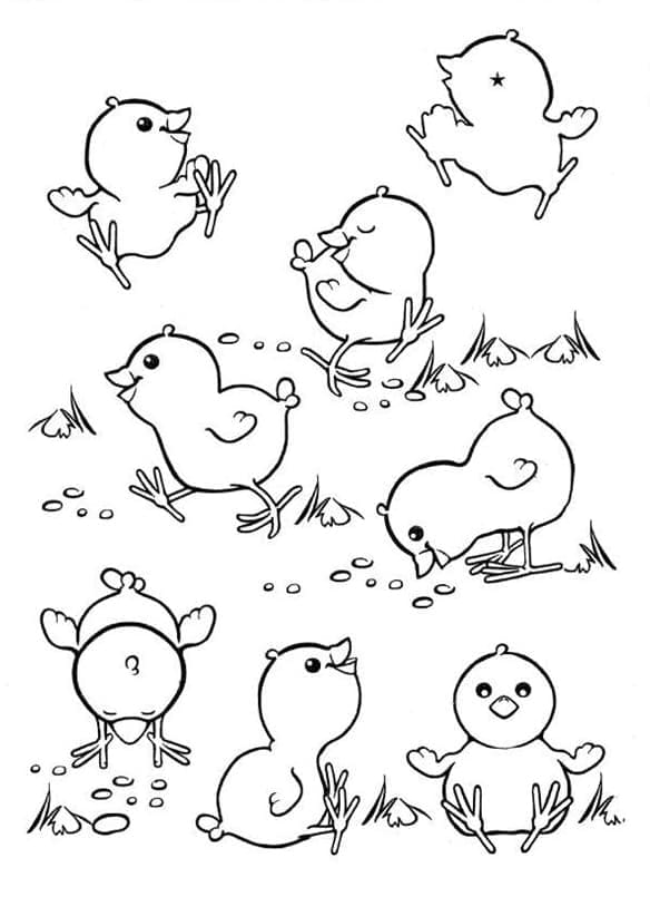 행복한 병아리 인쇄 가능 coloring page