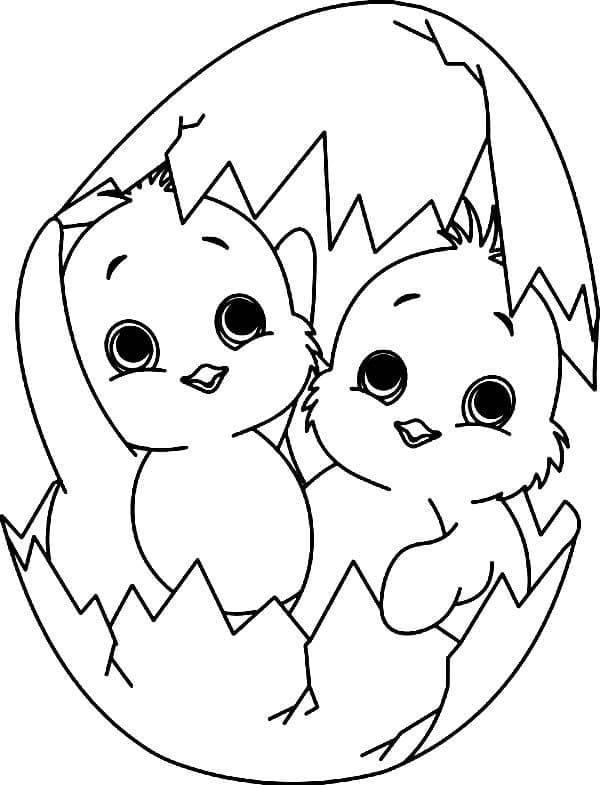 사랑스러운 두 병아리 coloring page