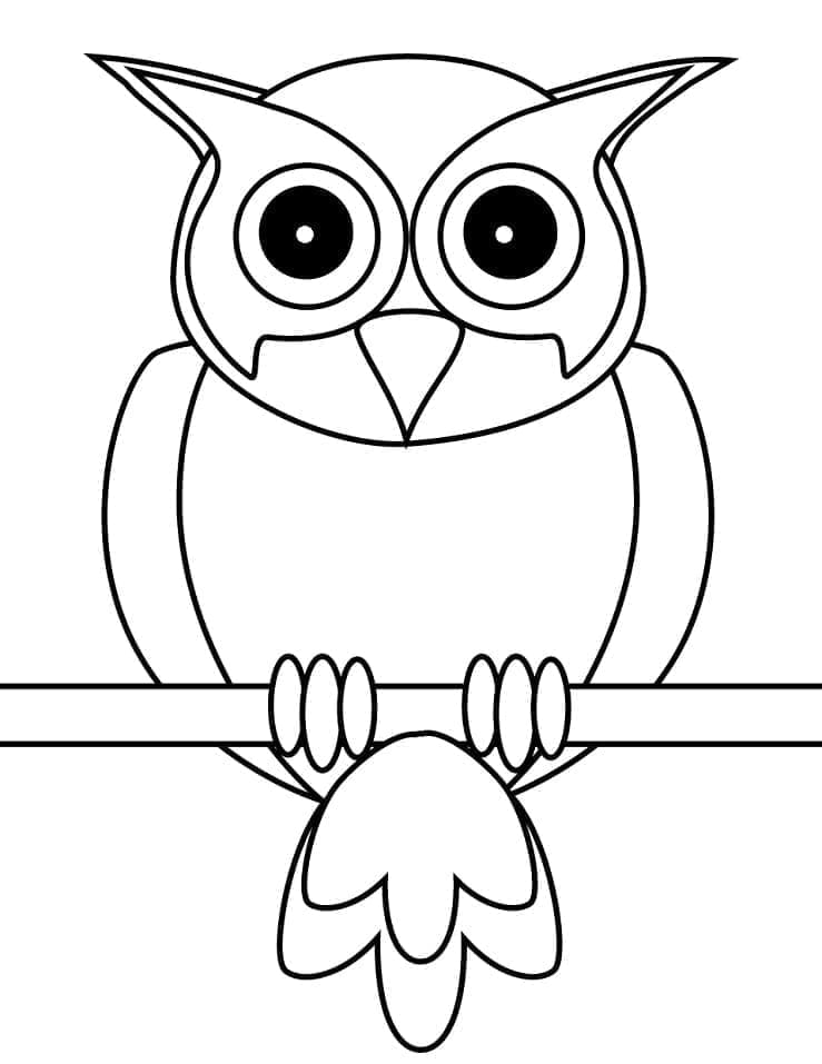 아이들을 위한 무료 올빼미 이미지 coloring page