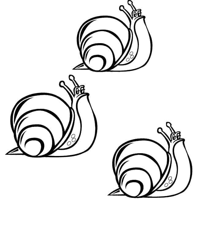 달팽이 세 마리 이미지 coloring page