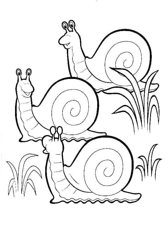 달팽이 세 마리 coloring page