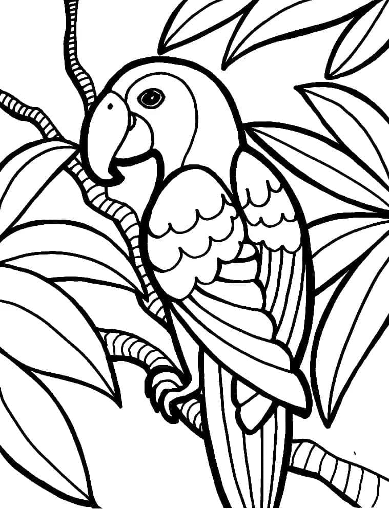 어린이를 위한 앵무새 무료 coloring page