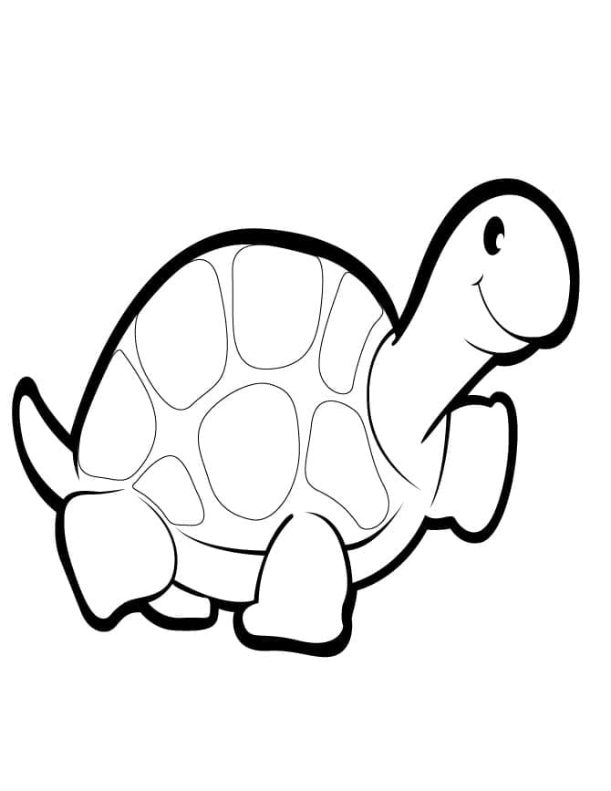 거북이 이미지 무료 인쇄물 coloring page