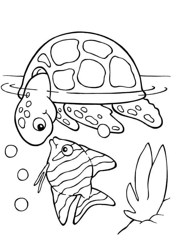 거북이와 물고기 coloring page