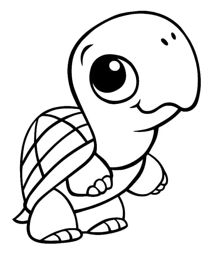 귀여운 아기 거북이 coloring page