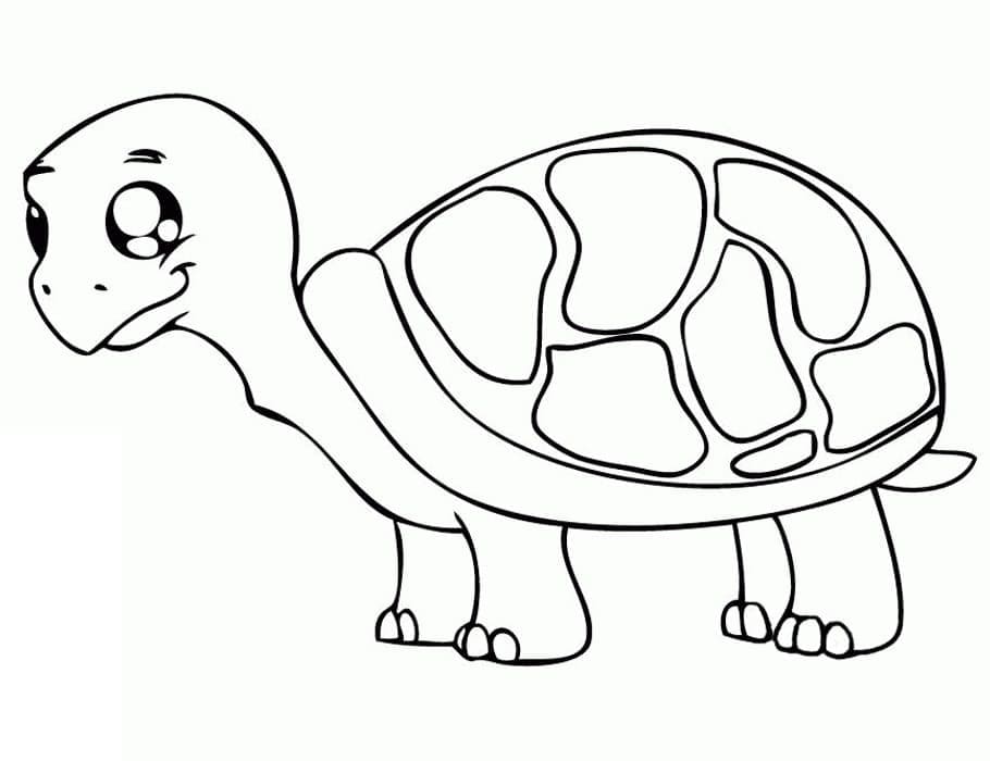 귀여운 거북이 이미지 coloring page