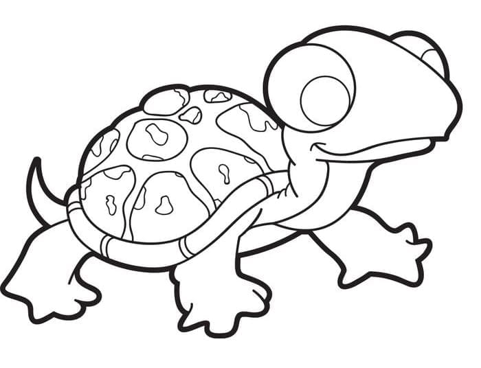 귀여운 만화 거북이 coloring page