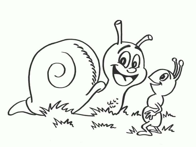 행복한 달팽이와 개미 coloring page