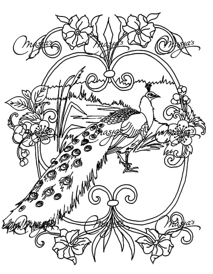 인쇄용 공작새 coloring page