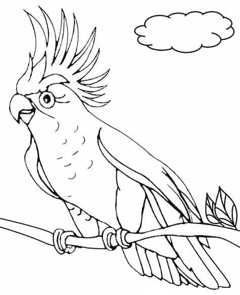 인쇄용 사랑 새 디자인 coloring page