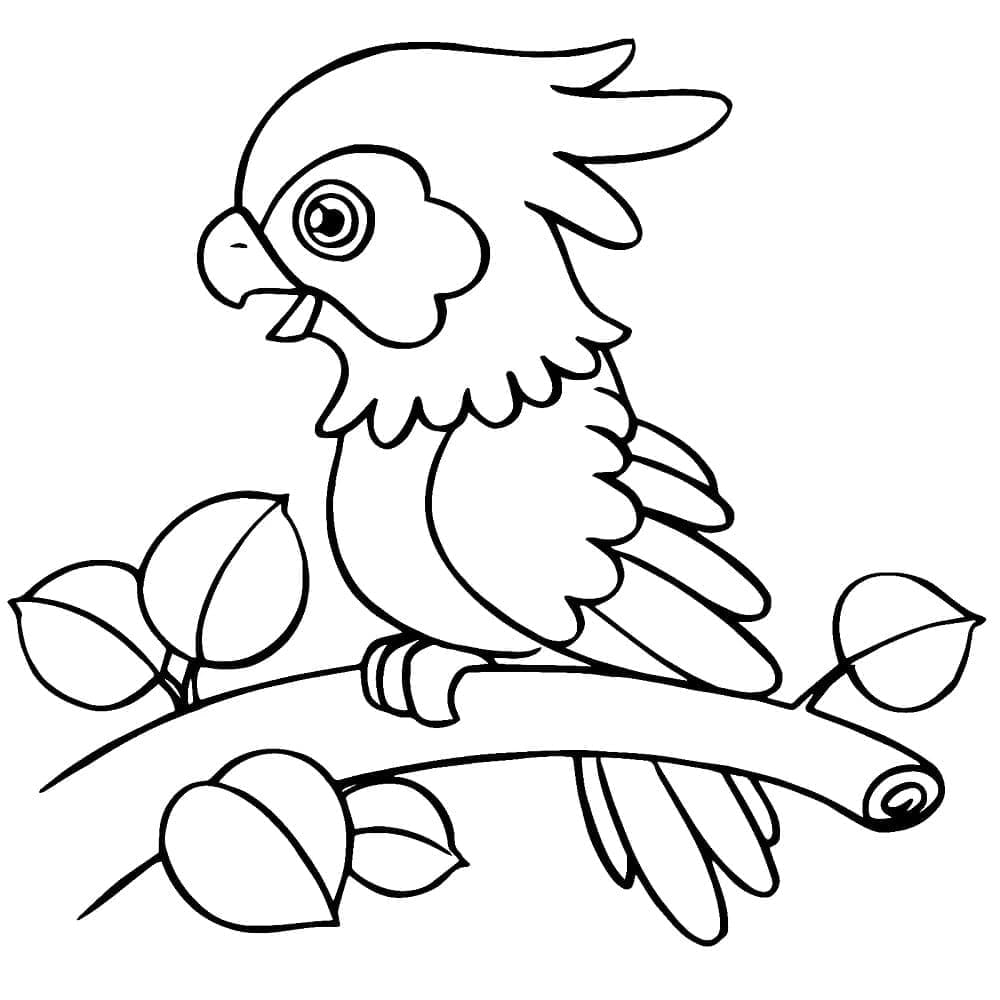 작은 앵무새 coloring page