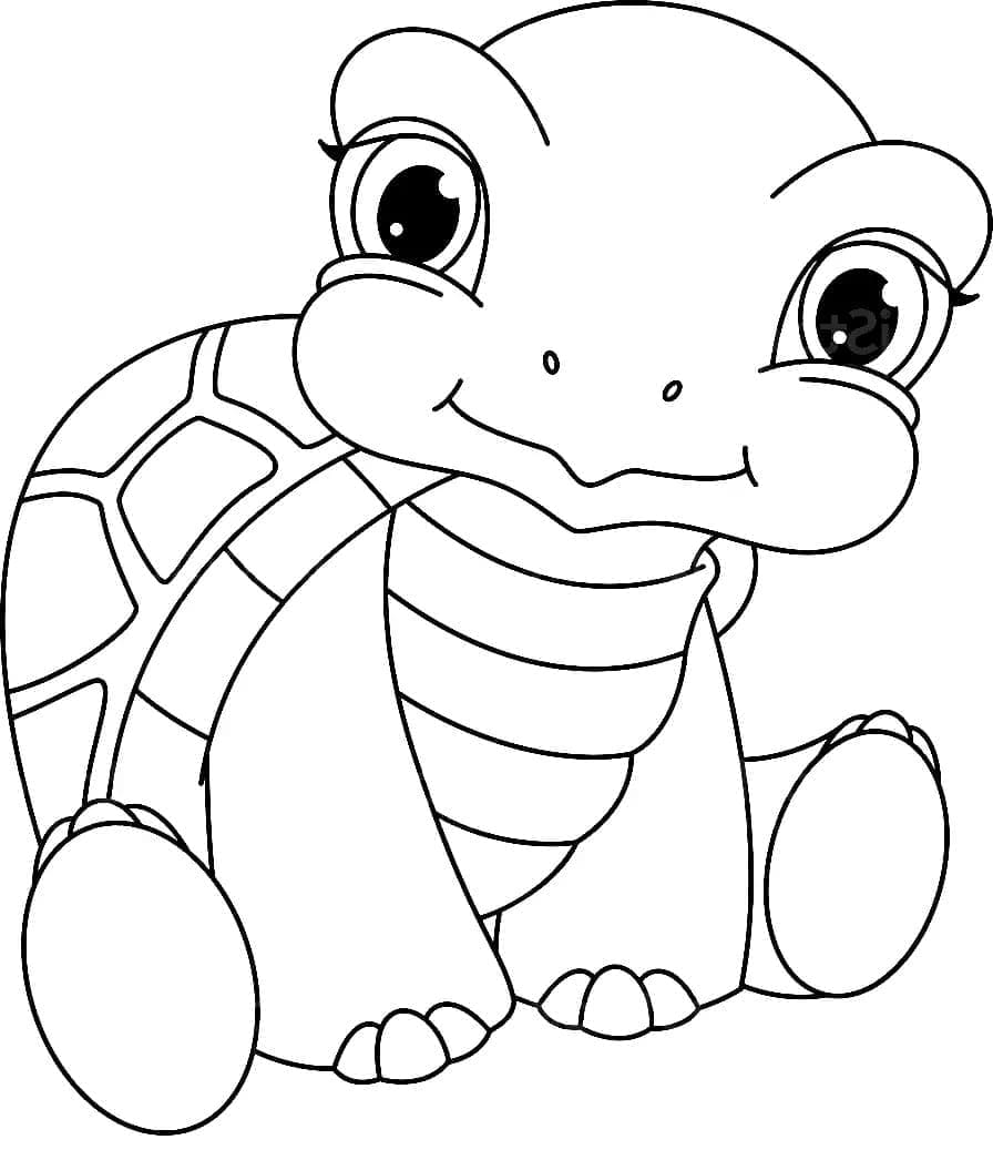 작은 거북이 coloring page
