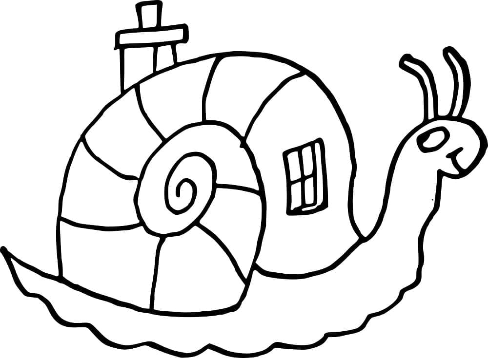 집 껍질을 가진 달팽이 coloring page