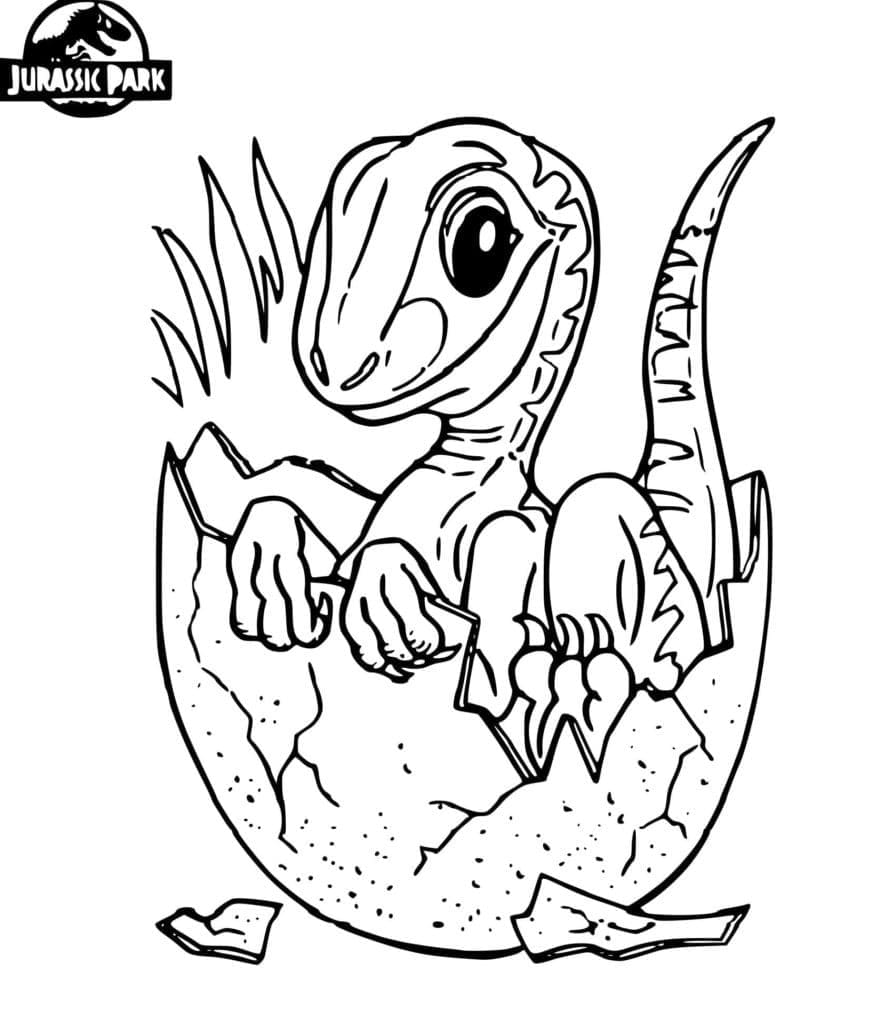 쥬라기 공원 아기 공룡 coloring page