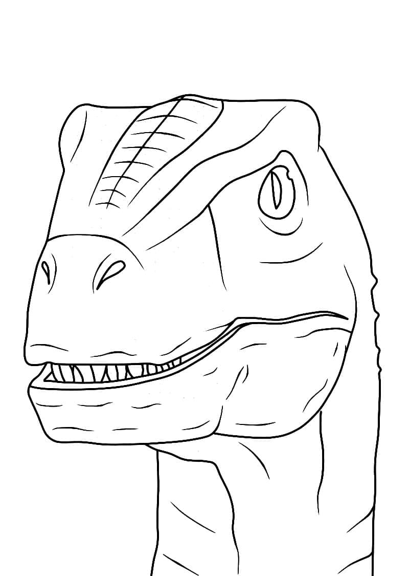 쥬라기 월드 공룡 얼굴 coloring page