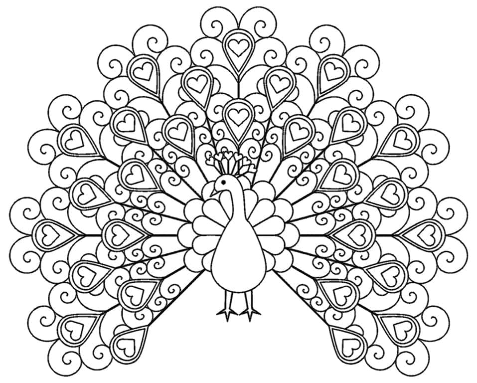 멋진 새 coloring page