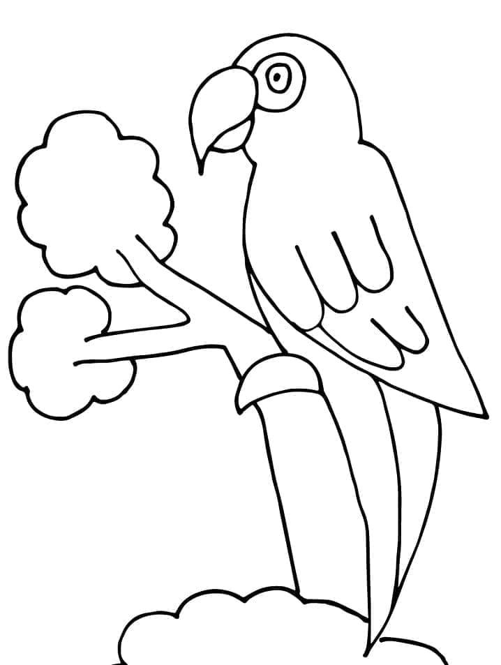 나무에 앵무새 JPG coloring page