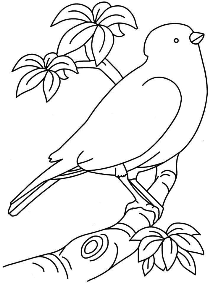 나무에 새 coloring page