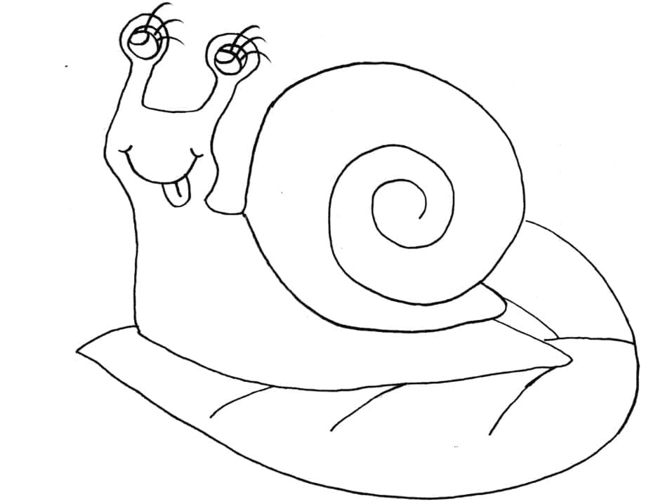 나뭇잎위의 달팽이