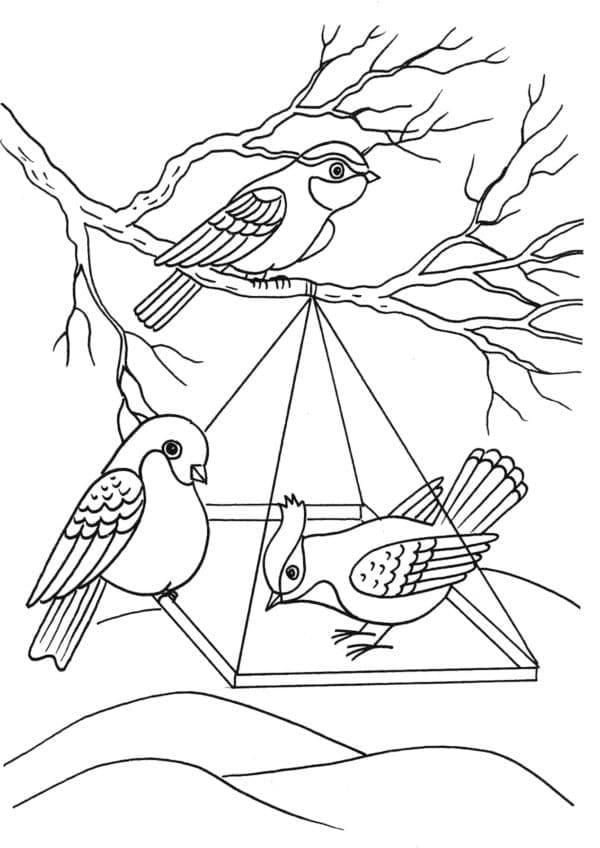 나무새 coloring page