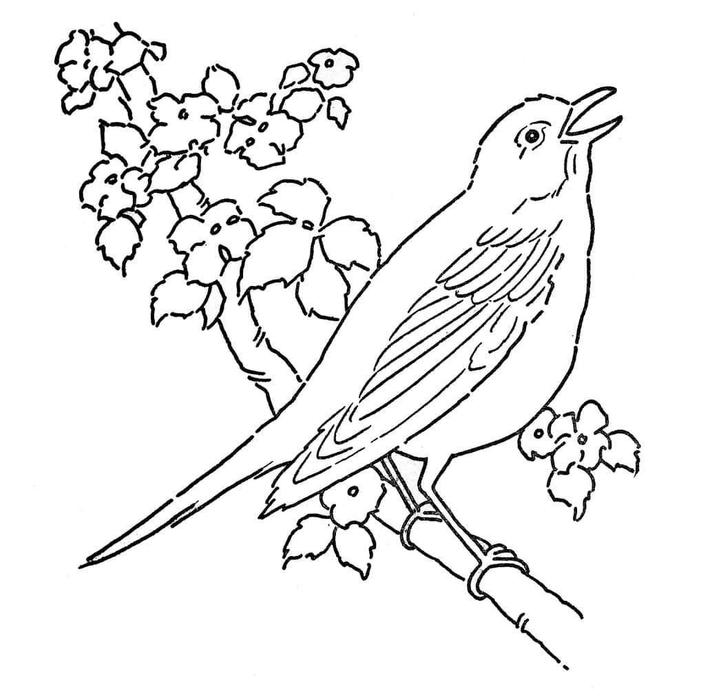 나뭇가지에 새 coloring page