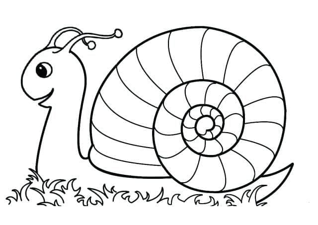 풀밭위의 달팽이 coloring page