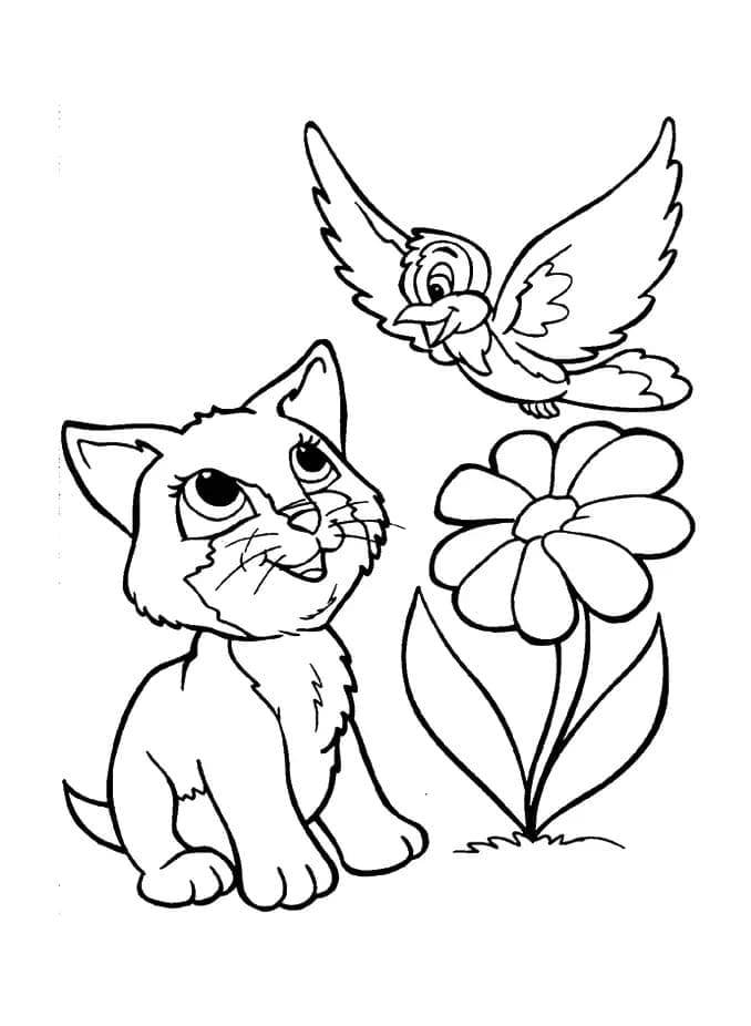 새끼 고양이와 새 무료 이미지 coloring page