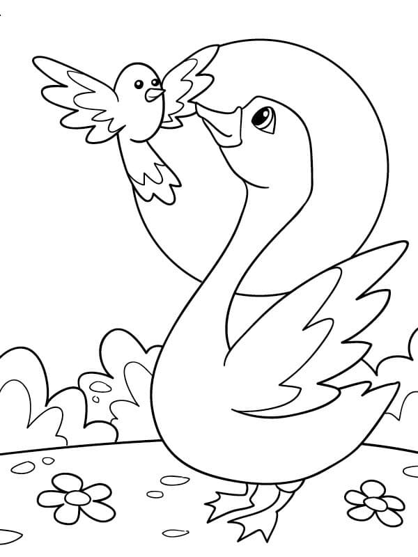 새와 백조 coloring page