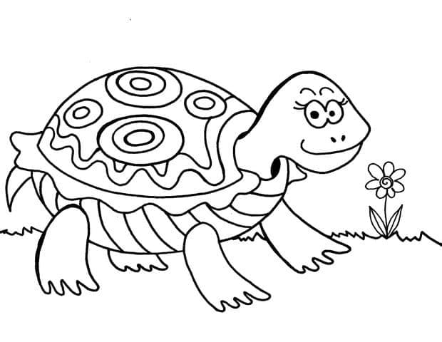 사랑스러운 거북이 coloring page