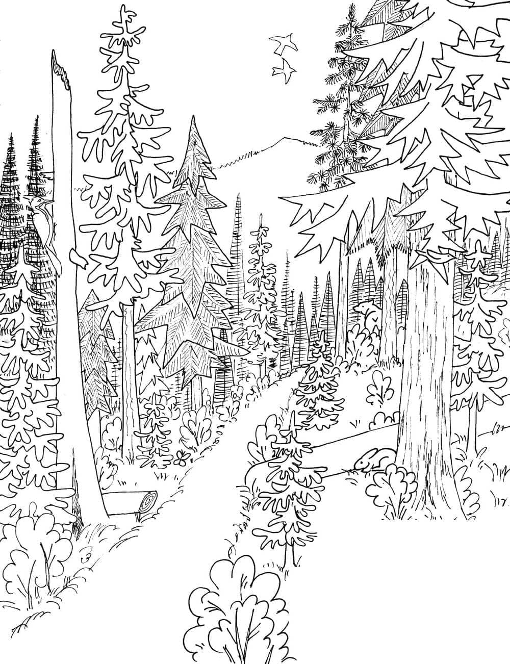 숲 풍경 coloring page