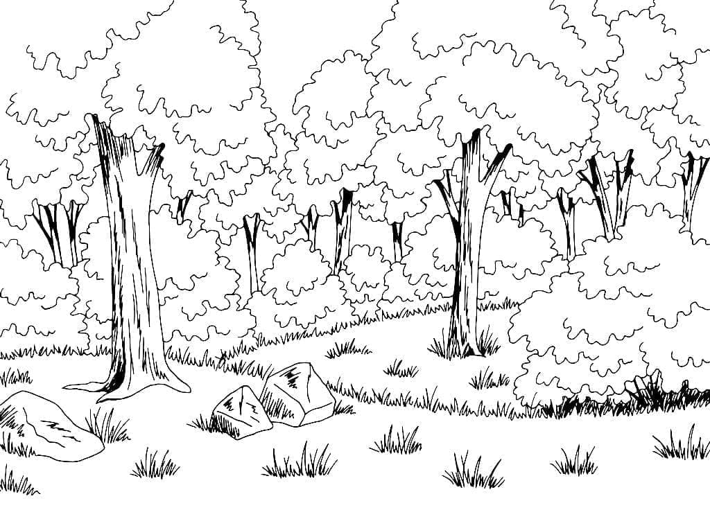 숲속의 아름다운 풍경 coloring page
