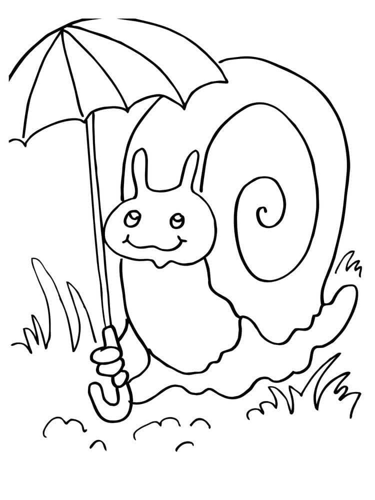 우산을 쓴 달팽이 coloring page