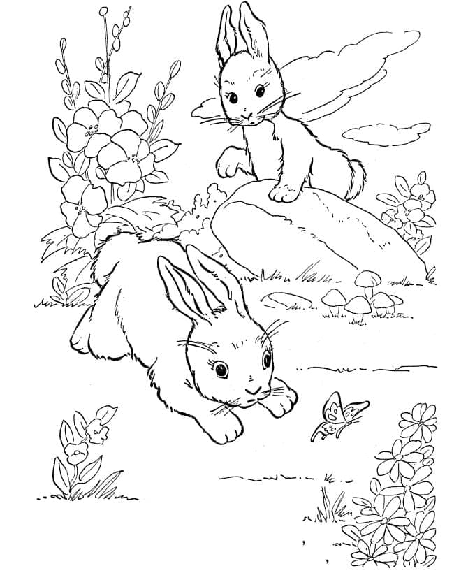 두 마리의 작은 토끼 coloring page