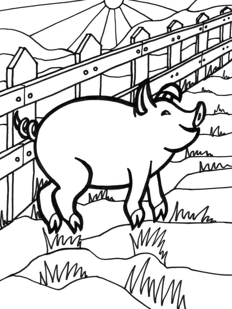 행복한 돼지 coloring page