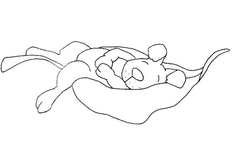 잠자는 쥐 무료 coloring page