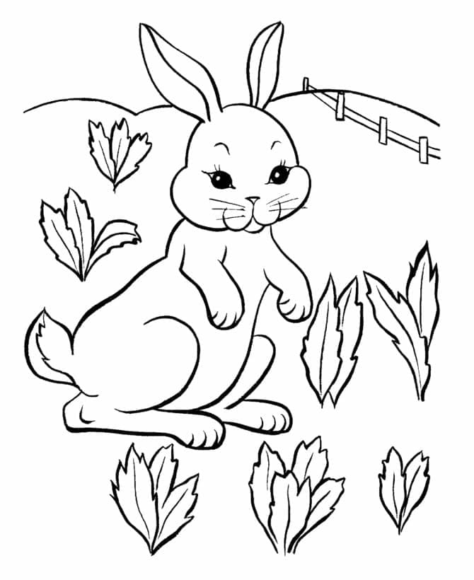 정원의 토끼 coloring page