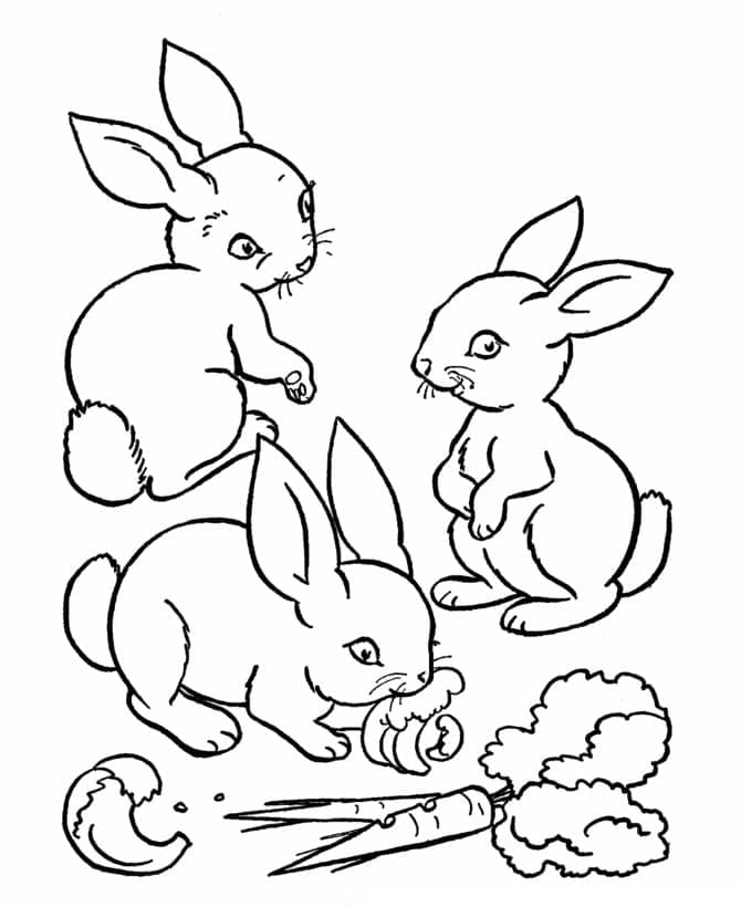 세마리 토끼 coloring page