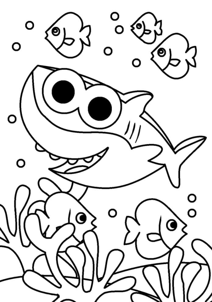 수영하는 아기 상어 coloring page