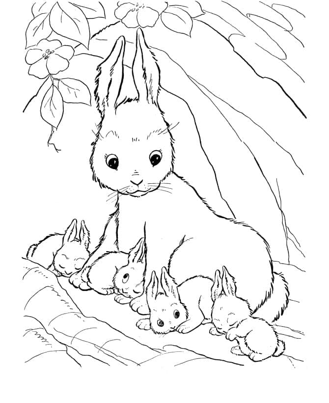 토끼 가족을 그리다 coloring page