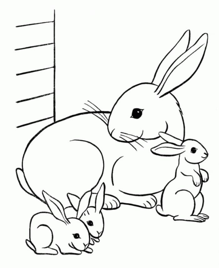 토끼 가족 coloring page