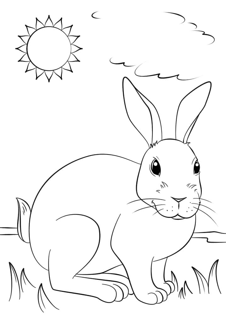 야생 토끼 무료 coloring page