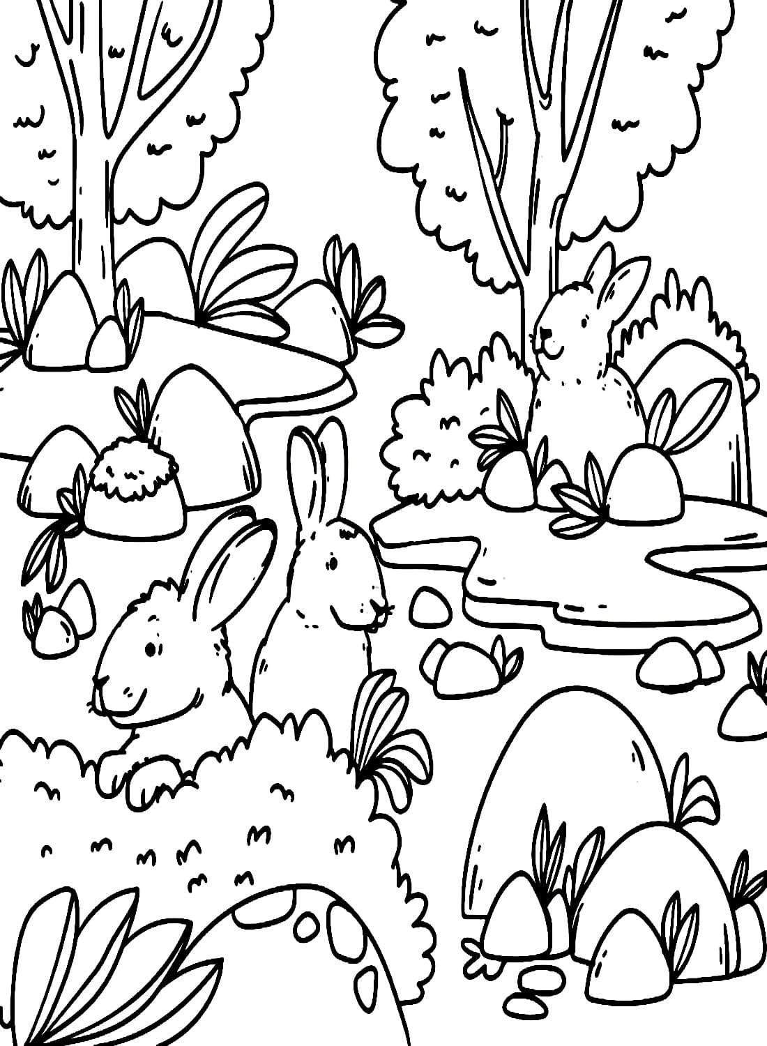 야생 토끼를 그리세요 coloring page