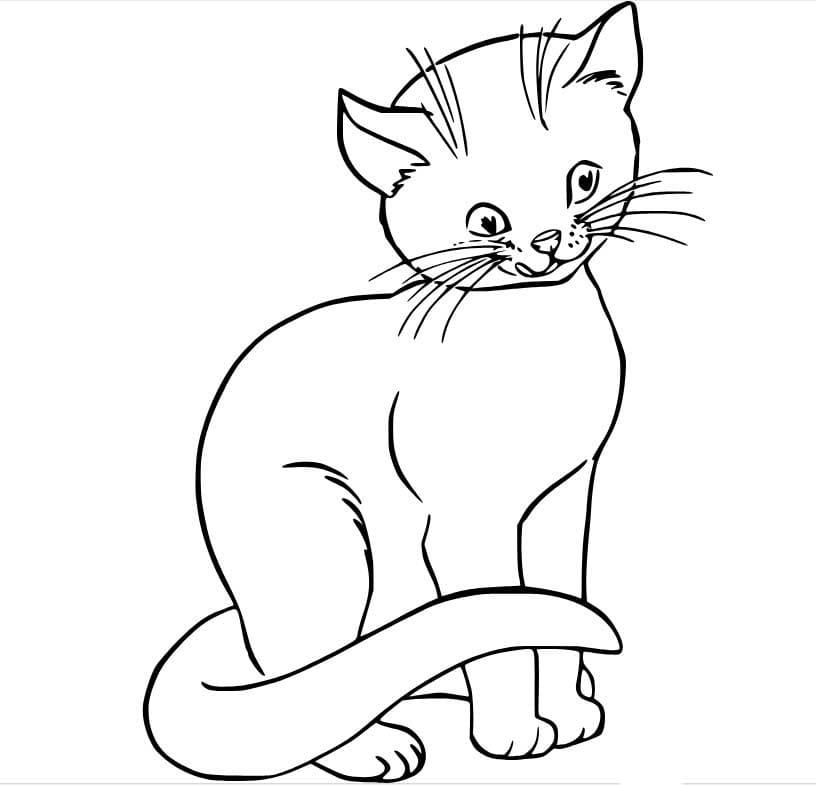 아름다운 고양이 coloring page