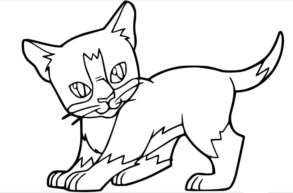 달리는 고양이 coloring page