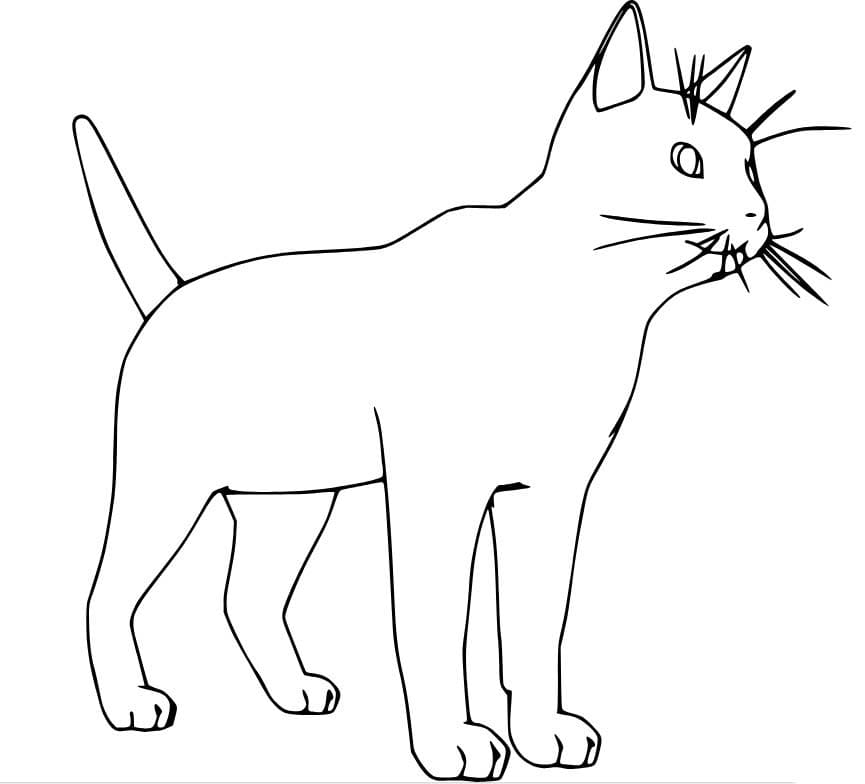 간단한 고양이 그리기 coloring page