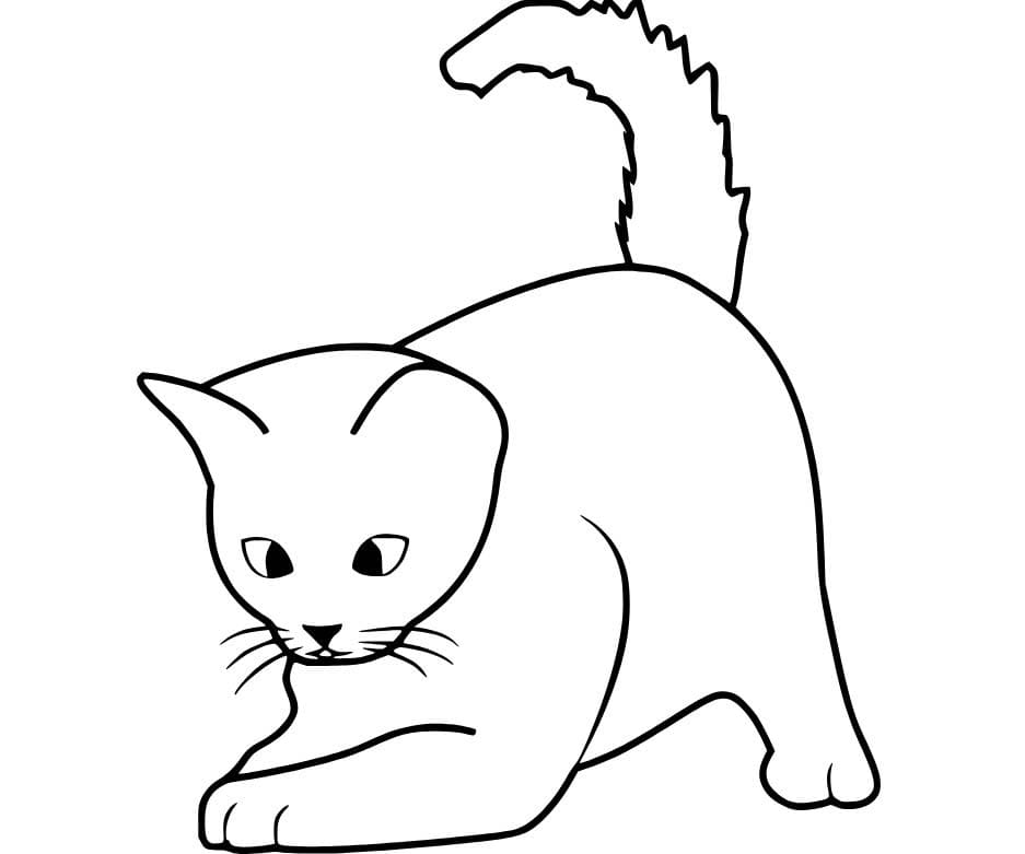 간단한 고양이 놀이 coloring page