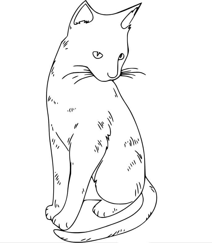 현실적인 작은 고양이 coloring page