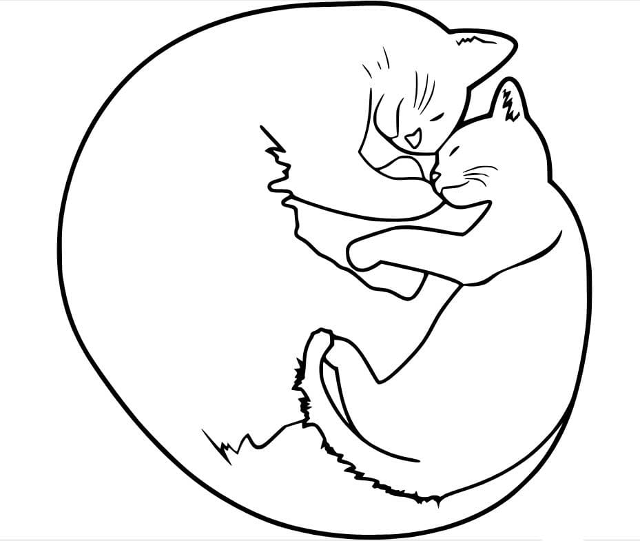 잠자는 두 마리 고양이 coloring page