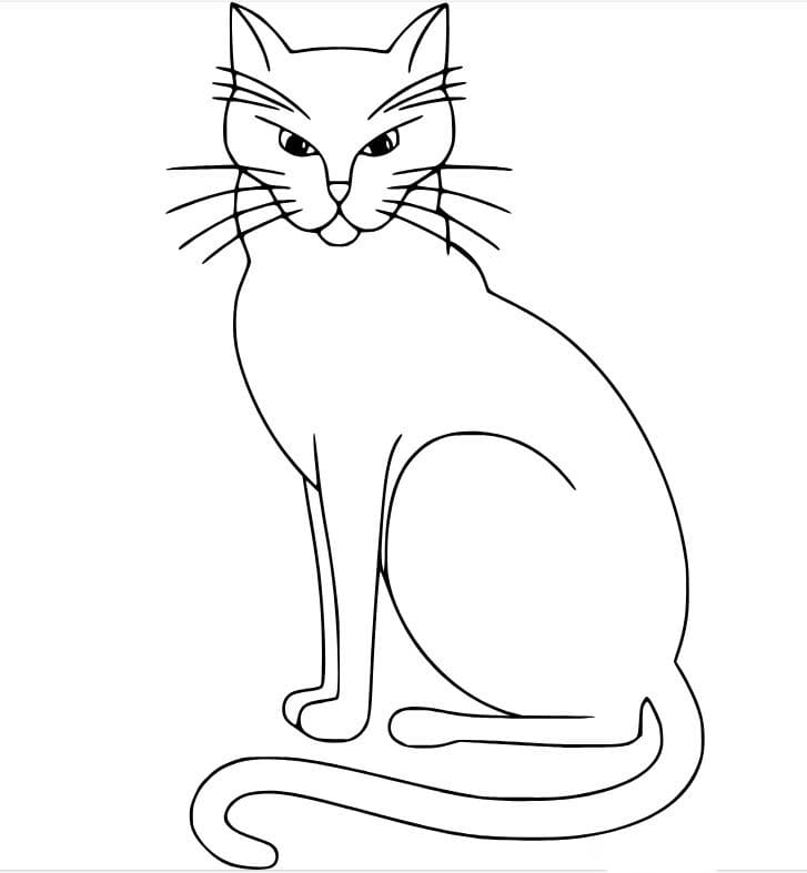 크고 얇은 고양이 coloring page